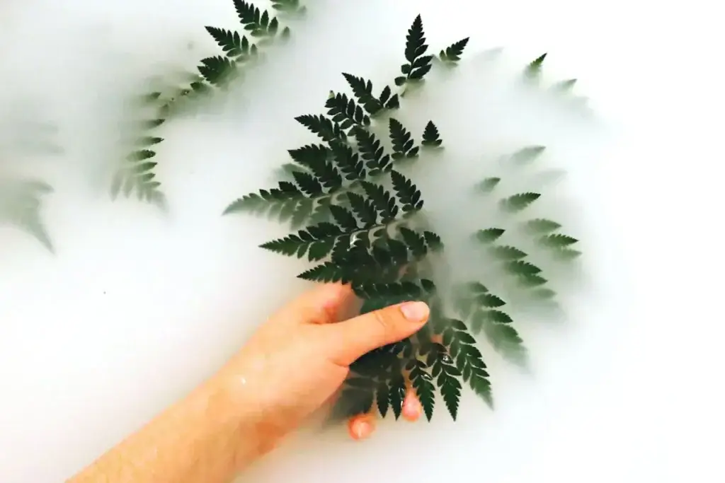 Botanical leaves in water symbolizing natural skincare, plant-based facials, and holistic skin treatments